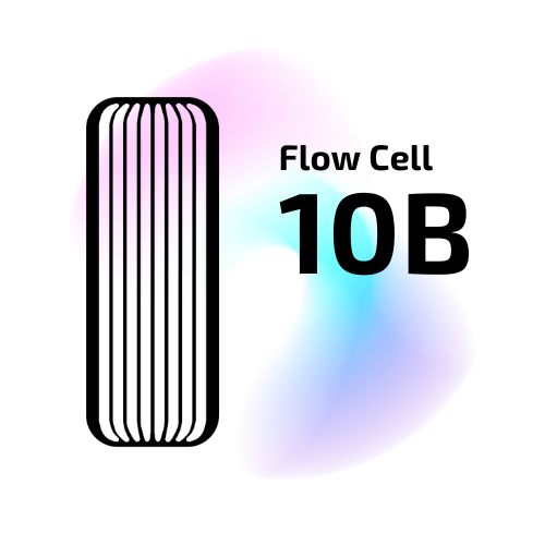 10B Flow Cell