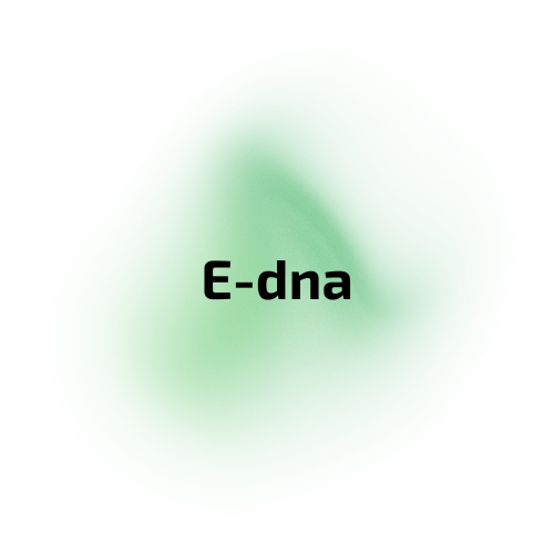 Research Services – Dante Genomics B2B Portal