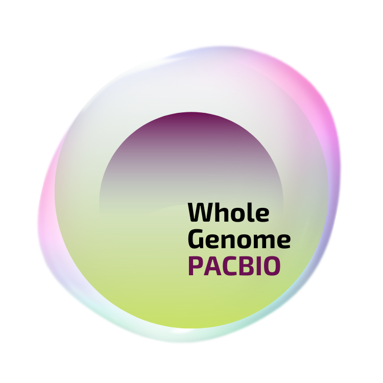 Whole Genome PacBio HiFi Reads Sequencing Test